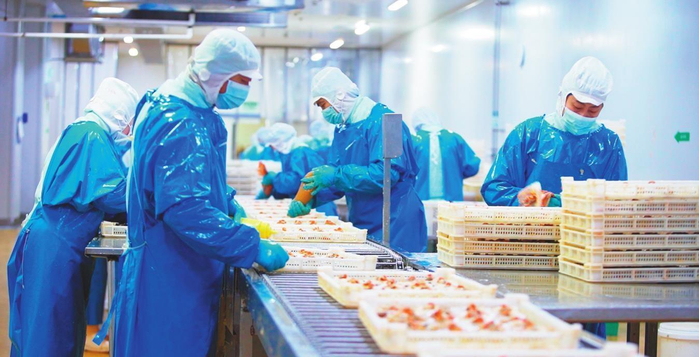         大连瑞驰食品有限公司调制品生产车间，工人们正在制作蒜蓉粉丝贝。受访企业供图