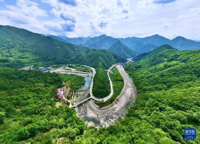 陕西省汉中市佛坪县的乡村公路（2024年6月10日摄）。新华社发（高宁 摄）