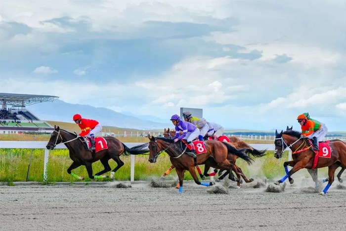 图源于海南日报。记者 张杰 摄