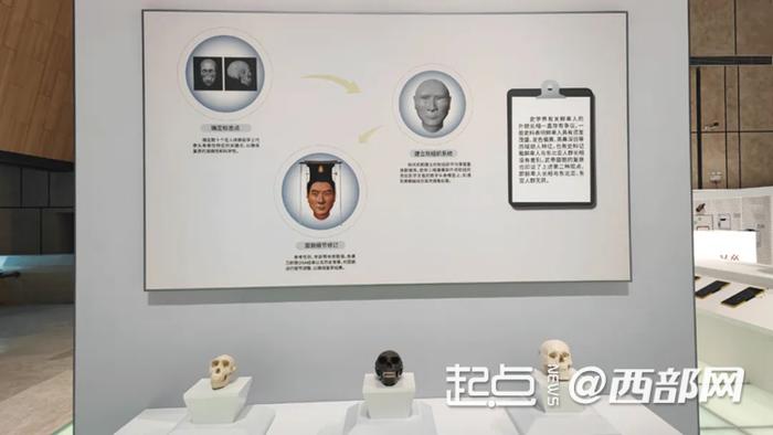 展览的展陈设计引入“实验室”的概念