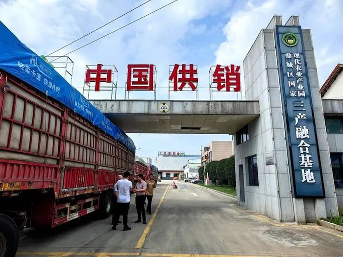 湖南亿泽生态农业科技有限公司 苏晓洲 摄