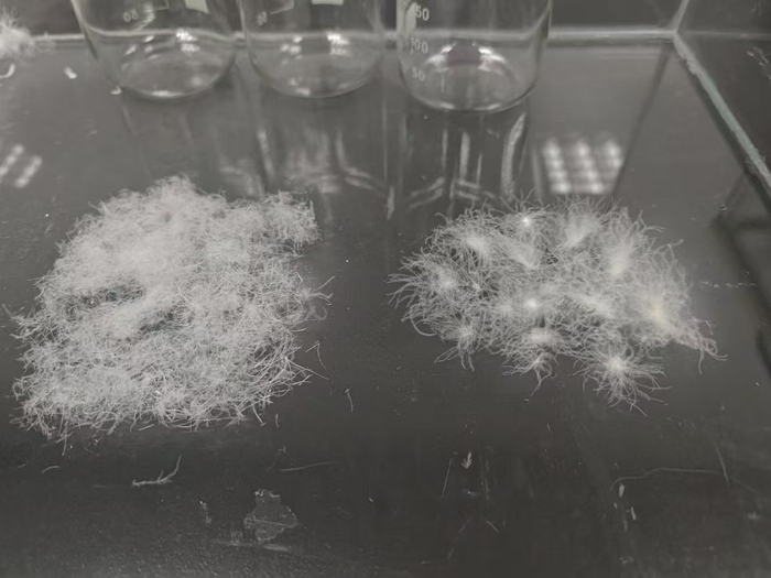 左为应当被剔除掉的飞丝，右为能起到保暖作用的绒子。劳动报记者陆燕婷 摄影