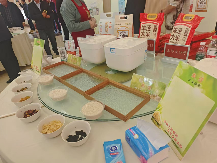 大米现场展示。劳动报记者陆燕婷 摄影