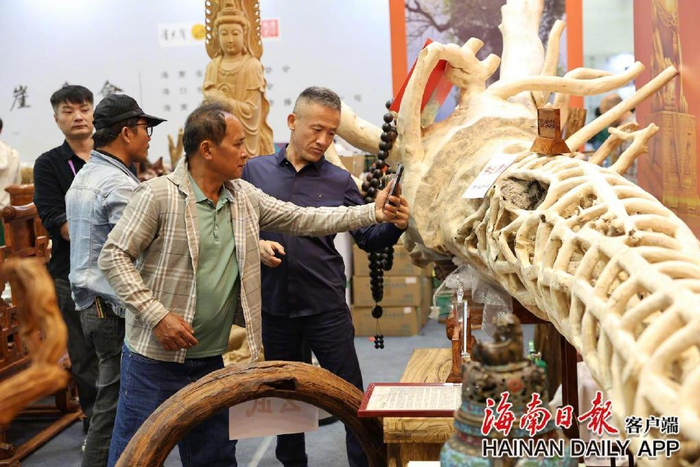 众人“香”聚海口，共品佳木。海南日报全媒体记者 陈若龙 摄