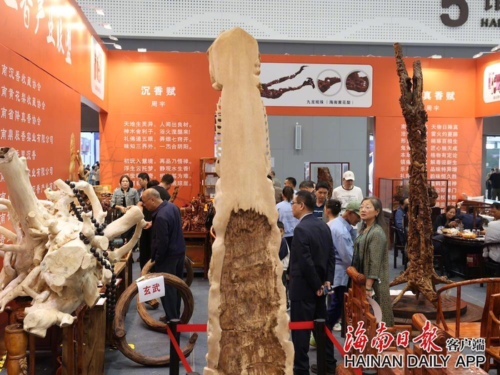 2024沉香花梨国际大会会场吸引了众多市民游客。海南日报全媒体记者 周达延 摄