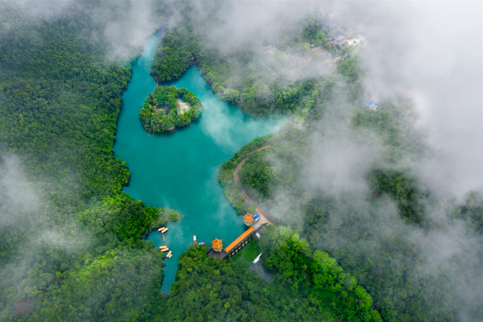 △鼎湖山。罗馨如 摄