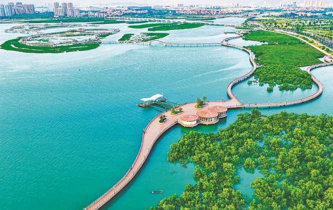 高水平的生态修复和高品质的生态环境成为厦门高质量发展的支撑。图为位于厦门环东海域的下潭尾红树林公园。（资料图片）