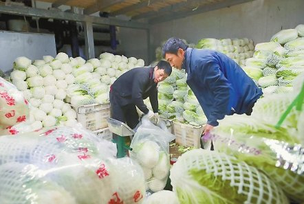 打包运往泰国的蔬菜。