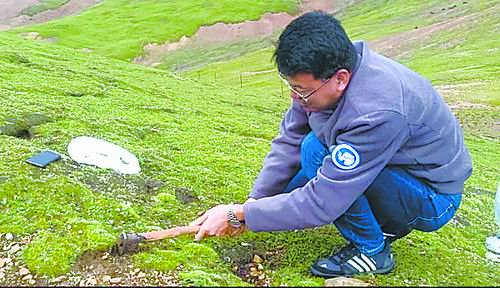 魏立新在果洛藏族自治州玛沁县采集标本。