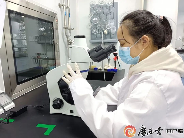 在广西诺港生物科技有限公司实验室，科研人员正在开展研究开发工作。