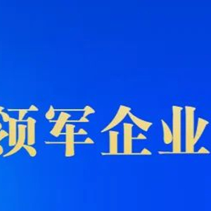 【稀土要闻】国际标准化组织稀土技术委员会（ISO/TC 298）第九次全体会议及工作组会议召开_手机新浪网