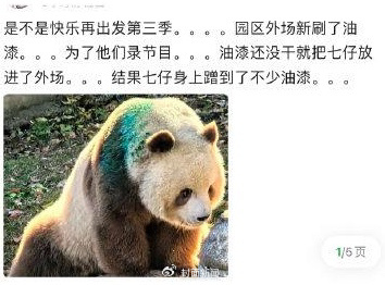 网传园区为配合综艺拍摄刷油漆，消息不实。