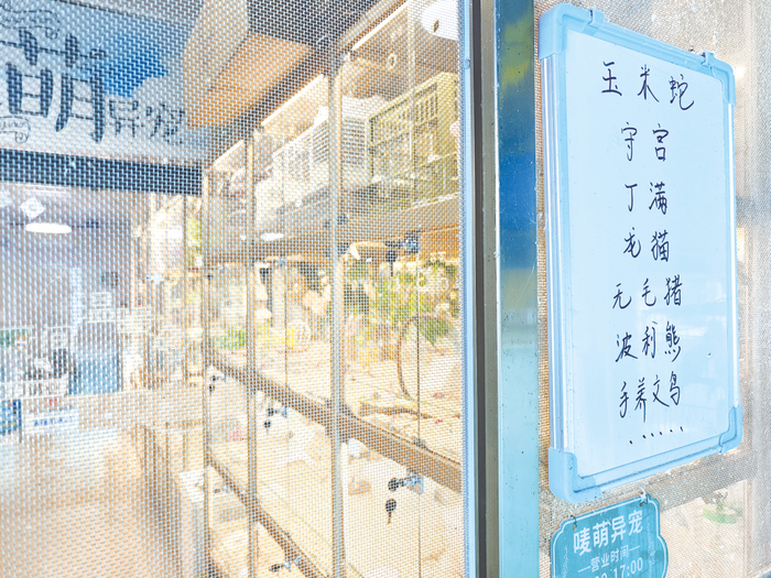     一家店铺销售多种异宠。