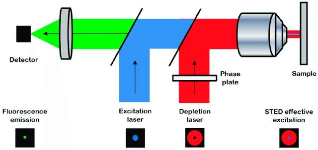 STED显微镜的基本结构和工作原理图
