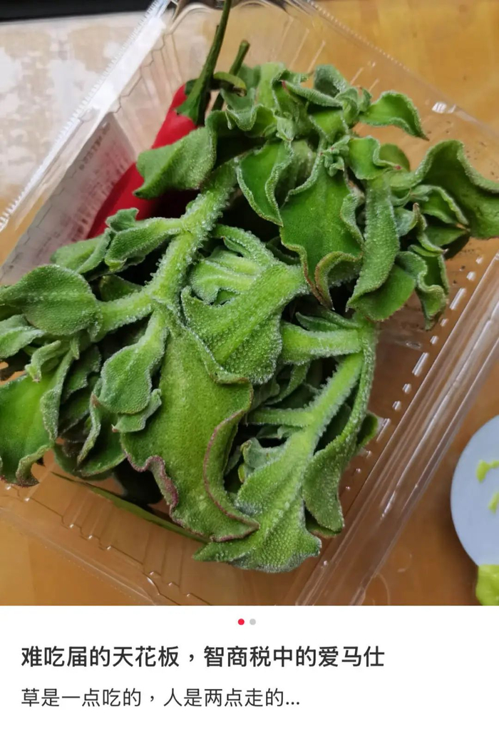 图源：小红书@发疯文学发言人