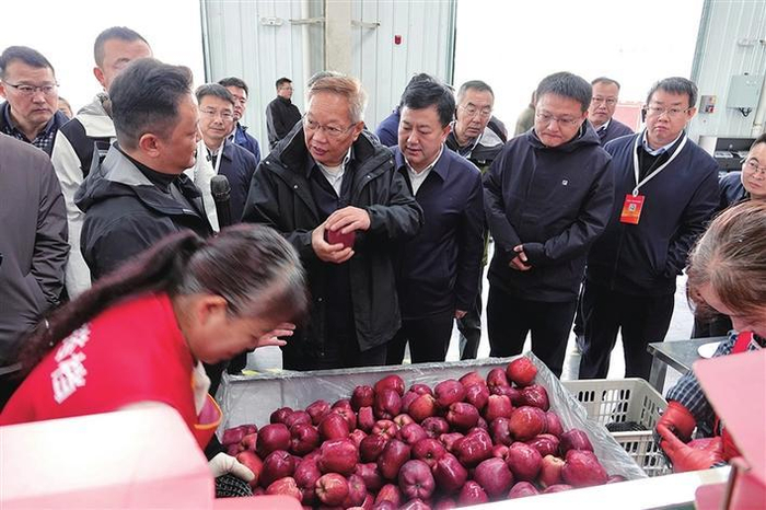     参加全国以工代赈工作现场会的参会代表在天水市麦积区国家现代农业产业园核心物流园区（花牛苹果产业园）调研。    本报记者 王斌 摄