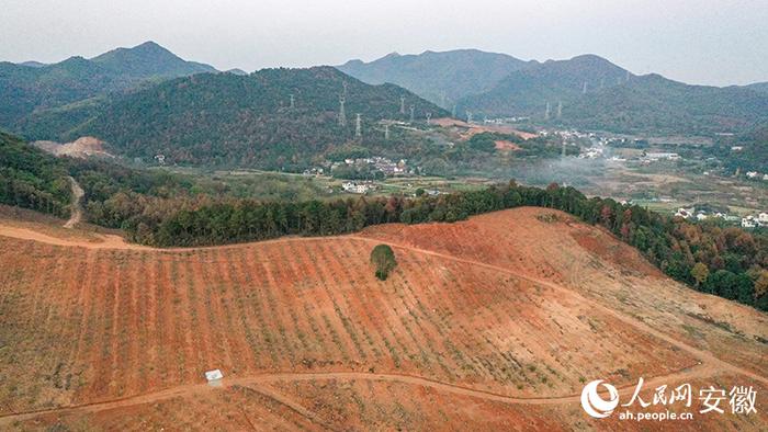 俯瞰金岭社区中药材种植基地。人民网记者 张俊摄