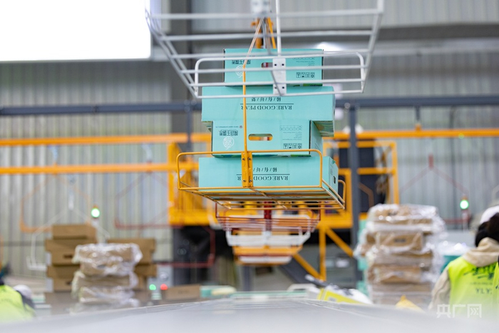 选果车间流水线（央广网发 叶娴豆 摄）