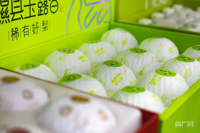 不是所有的玉露香都是隰县玉露香（央广网发 叶娴豆 摄）