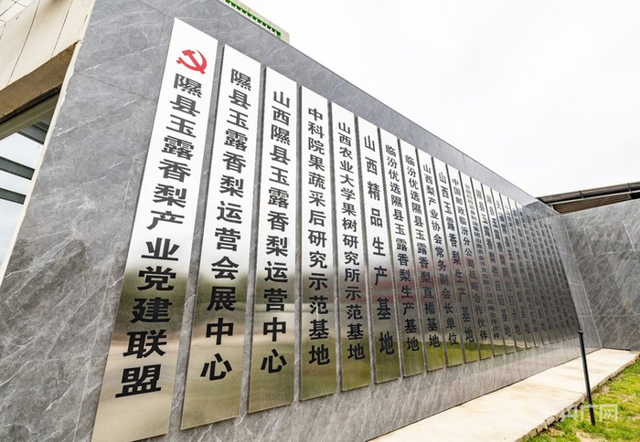 隰县是中国玉露香梨发展的“排头兵”（央广网发 叶娴豆 摄）