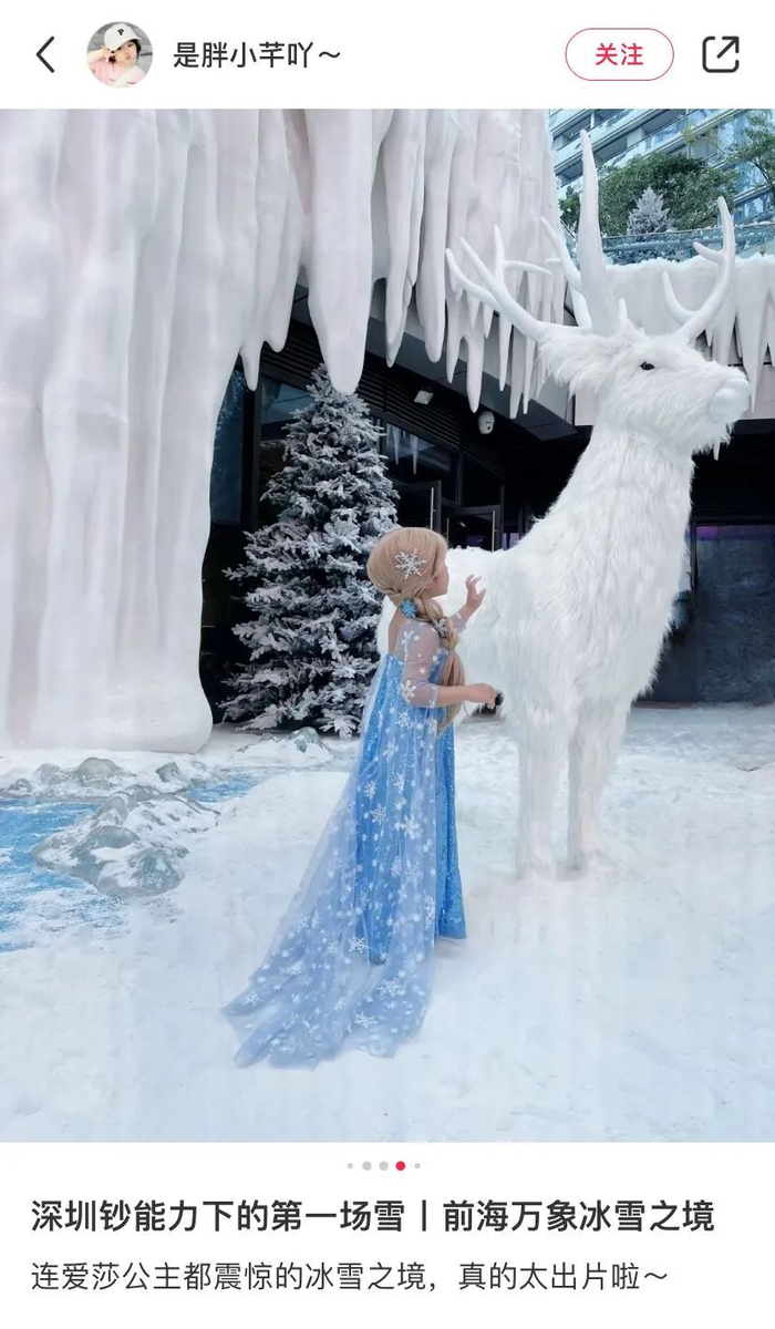 （“冰雪之境”网友打卡帖。图源：小红书）