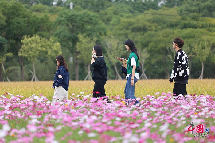 永旺村的花海。图片由永旺村提供