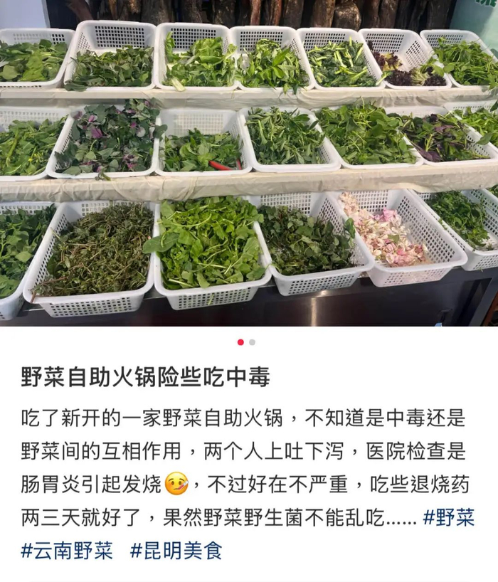 图源：小红书@糯米米