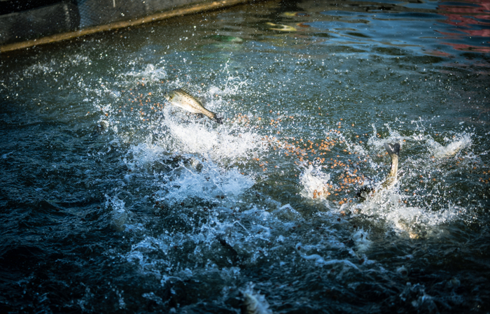 图源：防城区融媒体中心