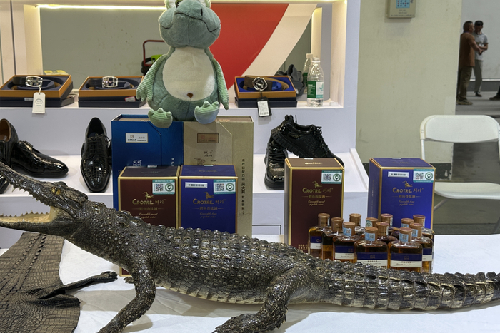 在东方馆展馆内，鳄鱼肉、鳄鱼养生酒、鳄鱼皮具箱包等一系列鳄鱼制品吸引众多客商前来咨询（央广网实习记者梁淑仪摄）