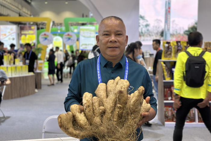 琼海馆展出的巨型美寨山药，口感香糯，久煮不烂，被誉为”山中玉”（央广网实习记者梁淑仪摄）