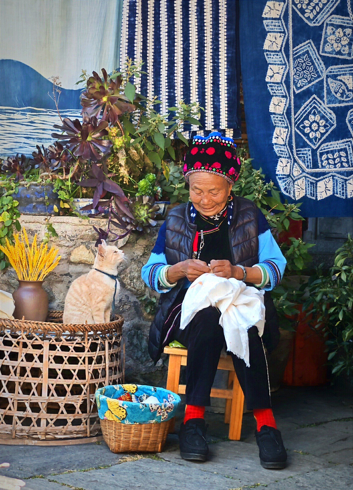 午后扎花的老人 云报资料图