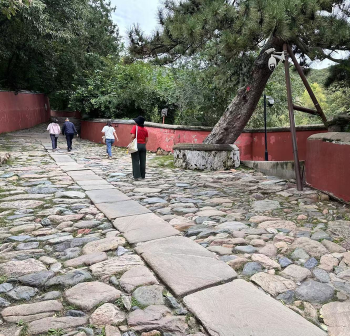 　　上山的步道是光滑且有一定坡度的石板路，不适合老年人和行动不便的人士。武晓莉/摄