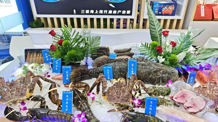 海南三亚首批俄罗斯直采帝王蟹首次亮相冬交会（央广网记者蔡文娟摄）