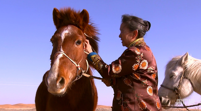 马是蒙古族人忠实的伙伴（央广网发  阿拉善左旗融媒体中心供图）