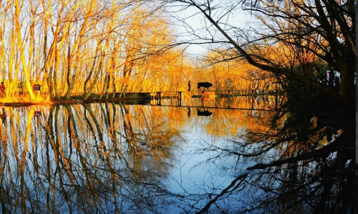 　　西溪南村如同“绿野仙踪”（图片来自“学习强国”黄山学习平台）