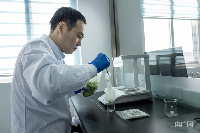 刘萌在使用分析天平称量实验样品（央广网发  郑鑫源  摄）