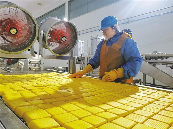 12月2日，在白水县泉豆乡实业有限公司生产车间，工人在摆放豆腐。 记者 梁少飞摄