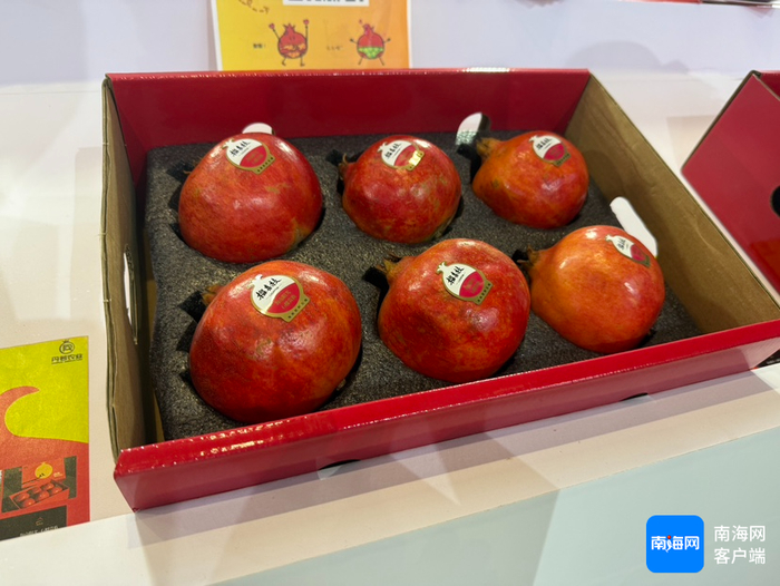 海南软籽石榴。记者 王子遥 摄