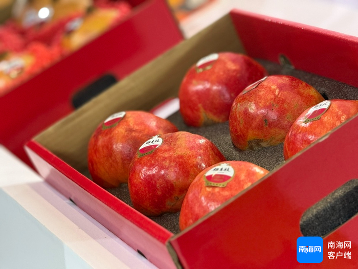 海南软籽石榴。记者 王子遥 摄