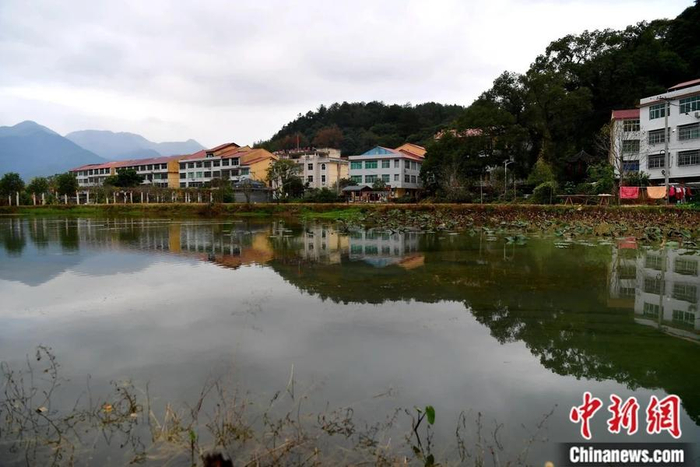 图为沙县夏茂镇俞邦村成排的楼房。中新社记者 张斌 摄