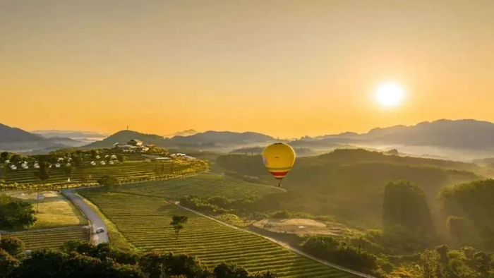 图为嘉禾共享农庄。