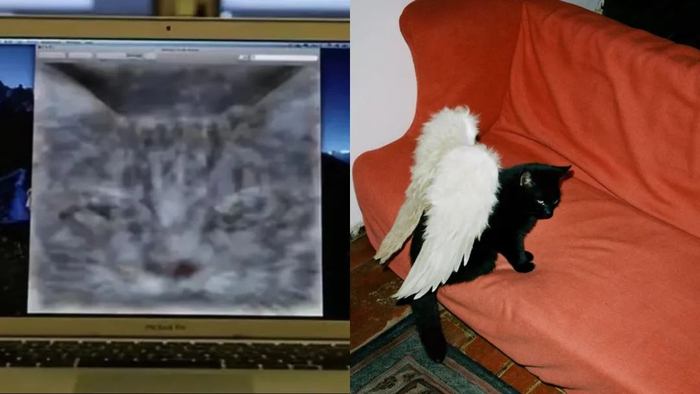 12年前的AI小猫 vs 12年后的AI小猫
