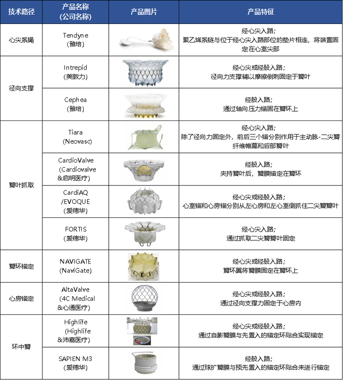 介入置换不同技术路径的代表产品