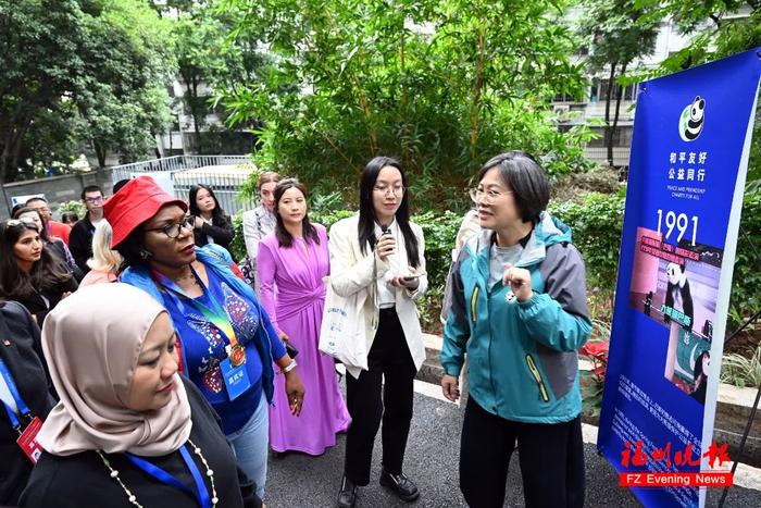 海峡（福州）大熊猫研究交流中心修云芳主任介绍熊猫中心历史及未来的发展。记者 叶诚 摄