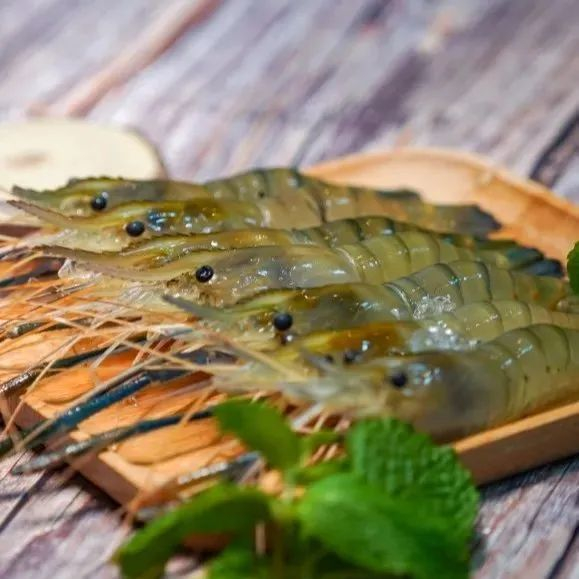 △以上2图 邓达荣 邹华彬 摄 