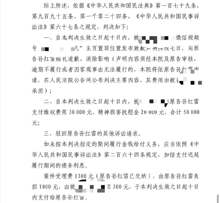 北京互联网法院民事判决书（受访者提供）