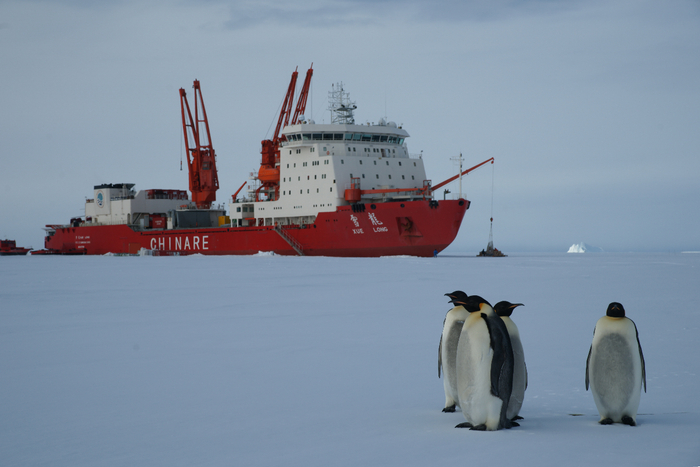 　　“雪龙”号在南极。图源 中国极地研究中心