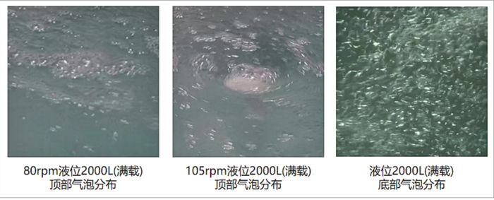 图4. 一次性生物反应袋满载搅拌测试