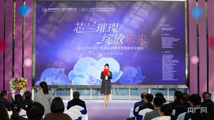 推介会现场（央广网记者  魏文青  摄）