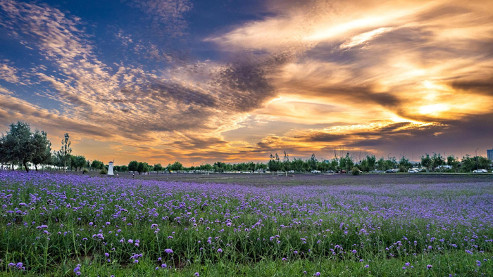 呼和浩特风光 王劭凯 摄